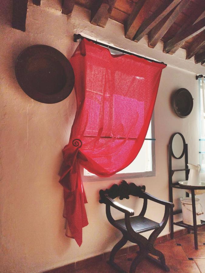 Hostel Patio 19 Μάλαγα Εξωτερικό φωτογραφία